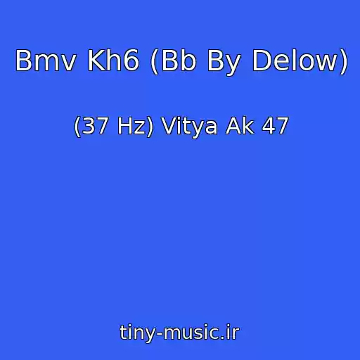کاور آهنگ Bmv Kh6 (Bb By Delow) از (37 Hz) Vitya Ak 47