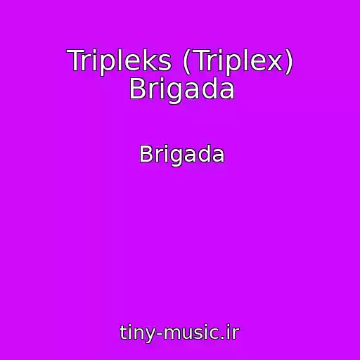 کاور آهنگ Tripleks (Triplex) Brigada از Brigada