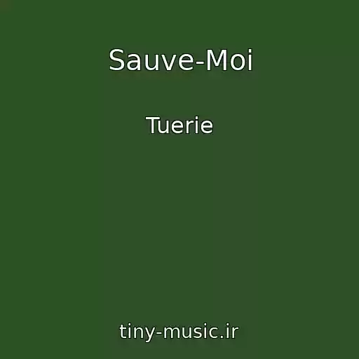 کاور آهنگ Sauve-Moi از Tuerie