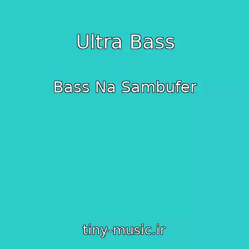 کاور آهنگ Ultra Bass از Bass Na Sambufer