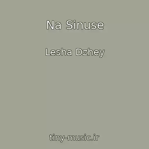 کاور آهنگ Na Sinuse از Lesha Dzhey