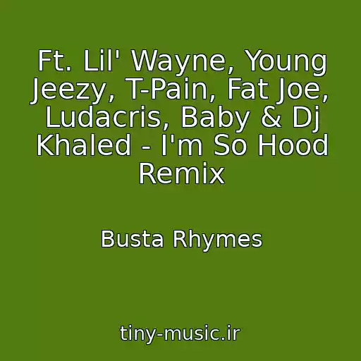کاور آهنگ Ft. Lil' Wayne, Young Jeezy, T-Pain, Fat Joe, Ludacris, Baby & Dj Khaled - I'm So Hood Remix از Busta Rhymes
