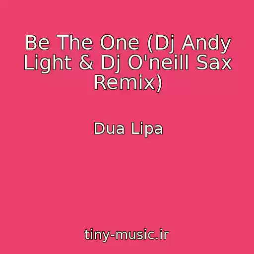کاور آهنگ Be The One (Dj Andy Light & Dj O'neill Sax Remix) از Dua Lipa