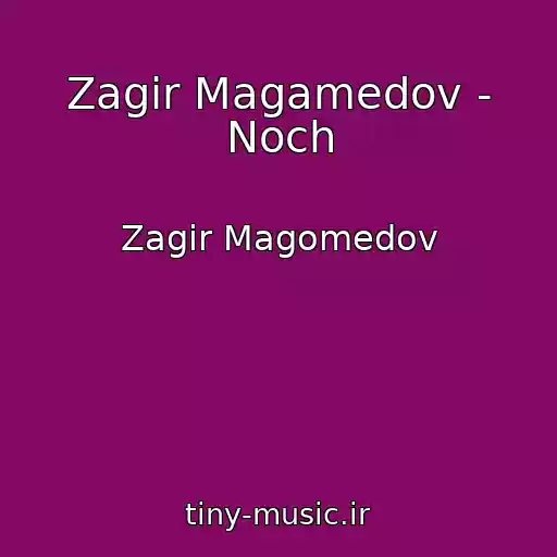کاور آهنگ Zagir Magamedov - Noch از Zagir Magomedov