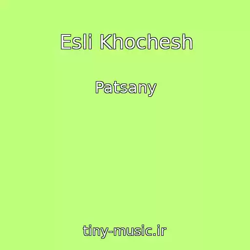 کاور آهنگ Esli Khochesh از Patsany