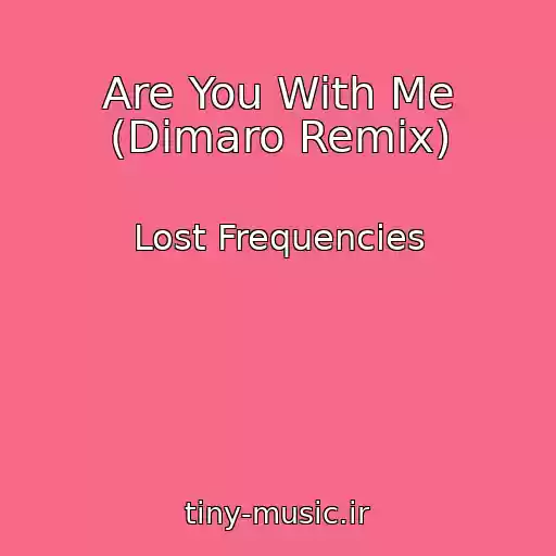 کاور آهنگ Are You With Me (Dimaro Remix) از Lost Frequencies