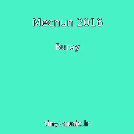 کاور آهنگ Mecnun 2016 از Buray