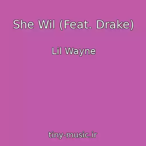 کاور آهنگ She Wil (Feat. Drake) از Lil Wayne