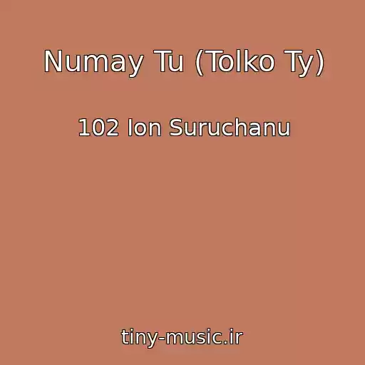 کاور آهنگ Numay Tu (Tolko Ty) از 102 Ion Suruchanu