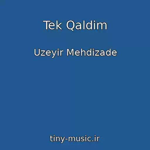 کاور آهنگ Tek Qaldim از Uzeyir Mehdizade