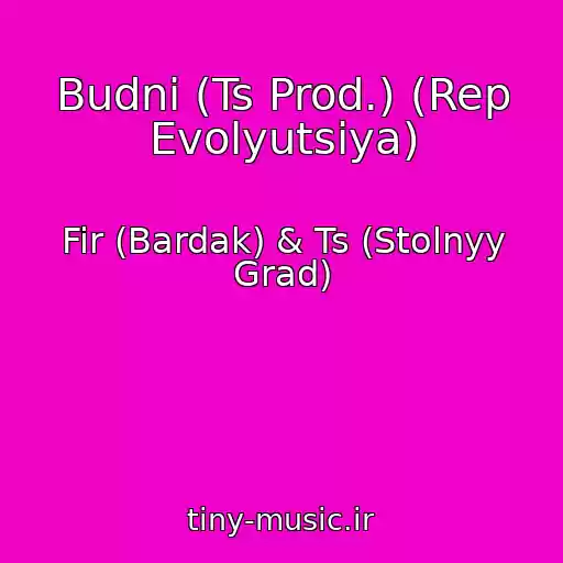 کاور آهنگ Budni (Ts Prod.) (Rep Evolyutsiya) از Fir (Bardak) & Ts (Stolnyy Grad)