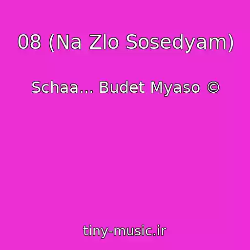 کاور آهنگ 08 (Na Zlo Sosedyam) از Schaa... Budet Myaso ©