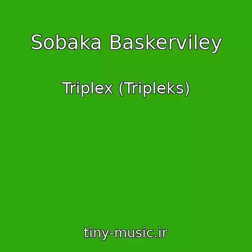 کاور آهنگ Sobaka Baskerviley از Triplex (Tripleks)