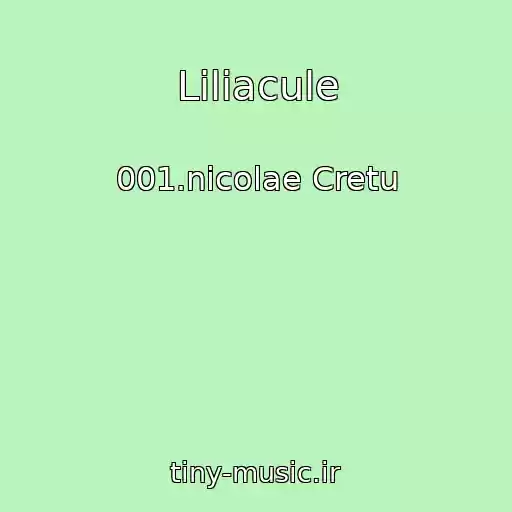 کاور آهنگ Liliacule از 001.nicolae Cretu