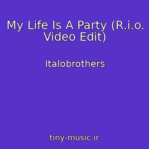 کاور آهنگ My Life Is A Party (R.i.o. Video Edit) از Italobrothers