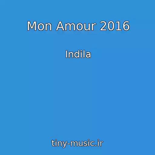 کاور آهنگ Mon Amour 2016 از Indila