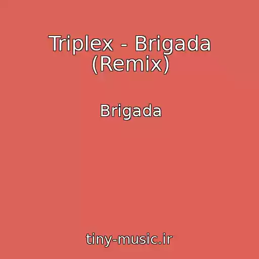 کاور آهنگ Triplex - Brigada (Remix) از Brigada