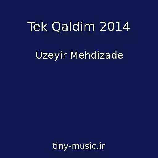 کاور آهنگ Tek Qaldim 2014 از Uzeyir Mehdizade