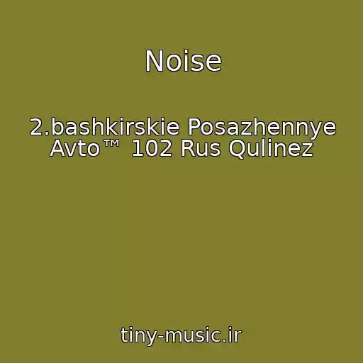 کاور آهنگ Noise از 2.bashkirskie Posazhennye Avto™ 102 Rus Qulinez