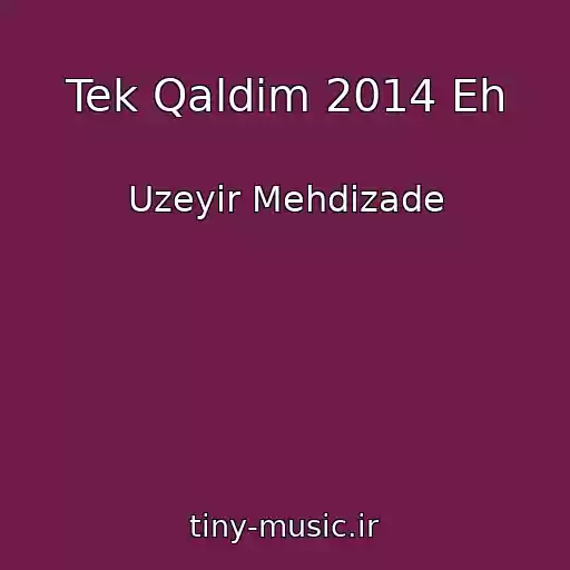 کاور آهنگ Tek Qaldim 2014 Eh از Uzeyir Mehdizade