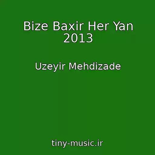 کاور آهنگ Bize Baxir Her Yan 2013 از Uzeyir Mehdizade