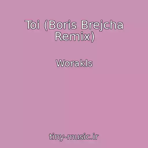 کاور آهنگ Toi (Boris Brejcha Remix) از Worakls