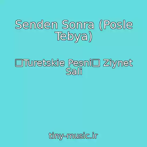 کاور آهنگ Senden Sonra (Posle Tebya) از ❏Turetskie Pesni❏ Ziynet Sali