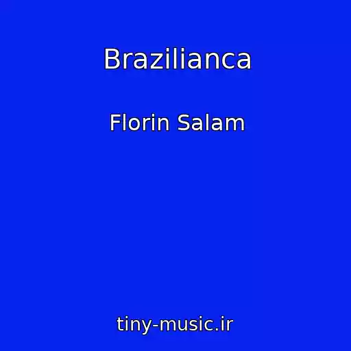 کاور آهنگ Brazilianca از Florin Salam