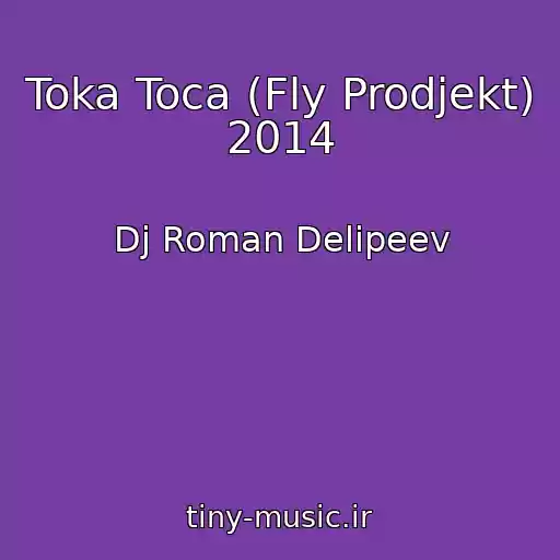 کاور آهنگ Toka Toca (Fly Prodjekt) 2014 از Dj Roman Delipeev