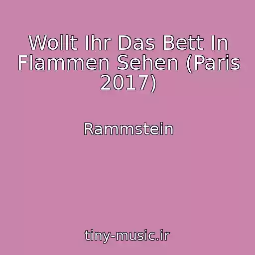 کاور آهنگ Wollt Ihr Das Bett In Flammen Sehen (Paris 2017) از Rammstein