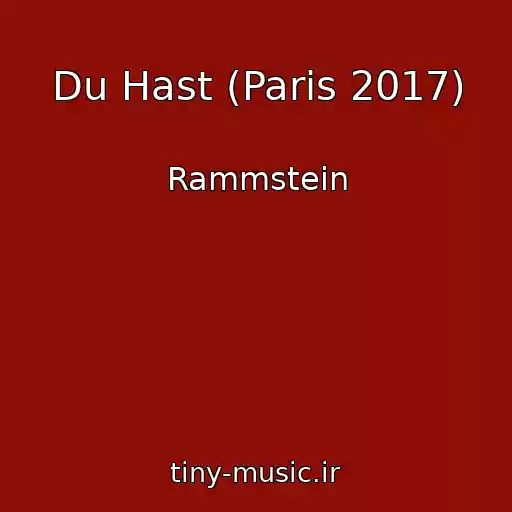 کاور آهنگ Du Hast (Paris 2017) از Rammstein
