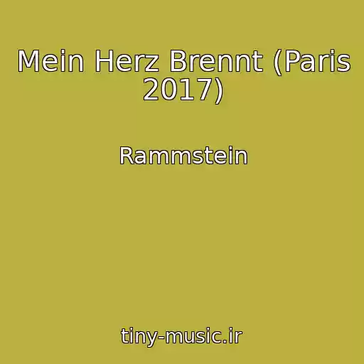 کاور آهنگ Mein Herz Brennt (Paris 2017) از Rammstein