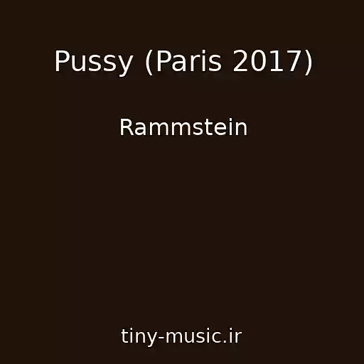 کاور آهنگ Pussy (Paris 2017) از Rammstein