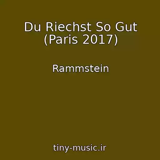 کاور آهنگ Du Riechst So Gut (Paris 2017) از Rammstein