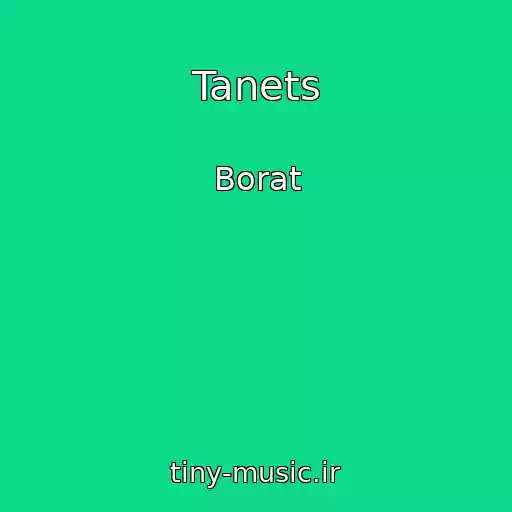 کاور آهنگ Tanets از Borat