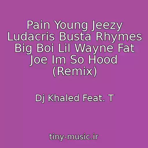 کاور آهنگ Pain Young Jeezy Ludacris Busta Rhymes Big Boi Lil Wayne Fat Joe Im So Hood (Remix) از Dj Khaled Feat. T