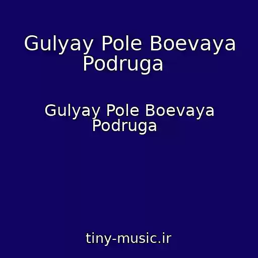 کاور آهنگ Gulyay Pole Boevaya Podruga   از Gulyay Pole Boevaya Podruga  