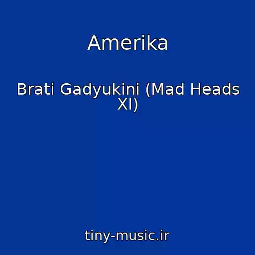 کاور آهنگ Amerika از Brati Gadyukіni (Mad Heads Xl)
