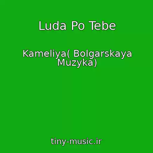 کاور آهنگ Luda Po Tebe از Kameliya( Bolgarskaya Muzyka)