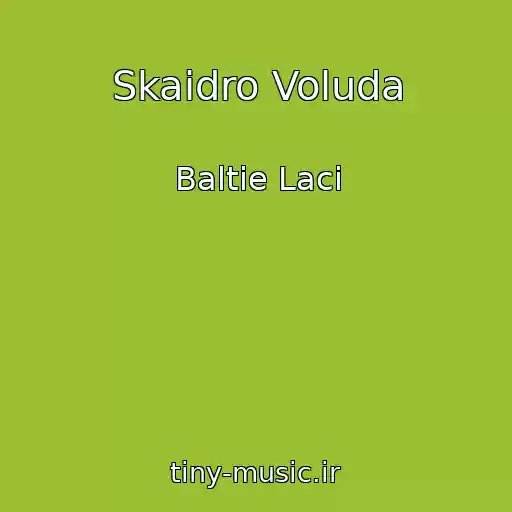 کاور آهنگ Skaidro Voluda از Baltie Laci