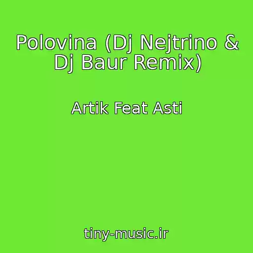 کاور آهنگ Polovina (Dj Nejtrino & Dj Baur Remix) از Artik Feat Asti