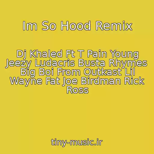 کاور آهنگ Im So Hood Remix از Dj Khaled Ft T Pain Young Jeezy Ludacris Busta Rhymes Big Boi From Outkast Lil Wayne Fat Joe Birdman Rick Ross