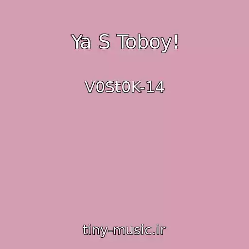 کاور آهنگ Ya S Toboy! از V0St0K-14