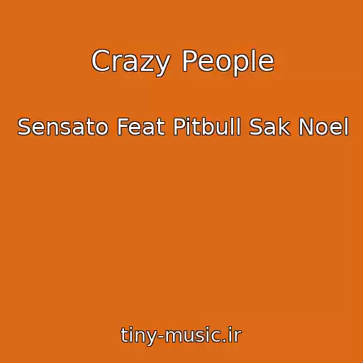 کاور آهنگ Crazy People از Sensato Feat Pitbull Sak Noel