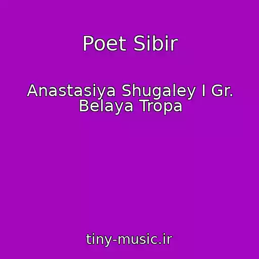 کاور آهنگ Poet Sibir از Anastasiya Shugaley I Gr. Belaya Tropa