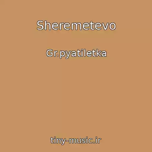 کاور آهنگ Sheremetevo از Gr.pyatiletka