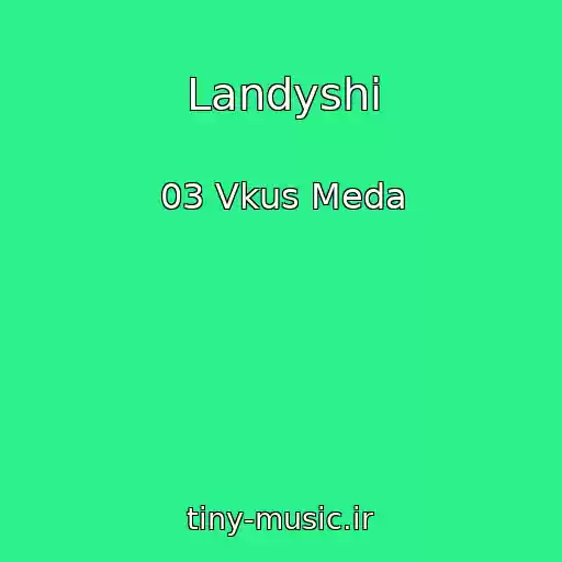 کاور آهنگ Landyshi از 03 Vkus Meda