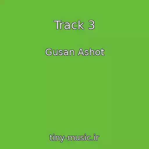 کاور آهنگ Track 3 از Gusan Ashot