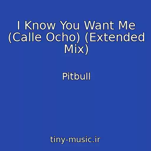کاور آهنگ I Know You Want Me (Calle Ocho) (Extended Mix) از Pitbull