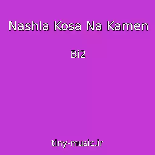 کاور آهنگ Nashla Kosa Na Kamen از Bi2
